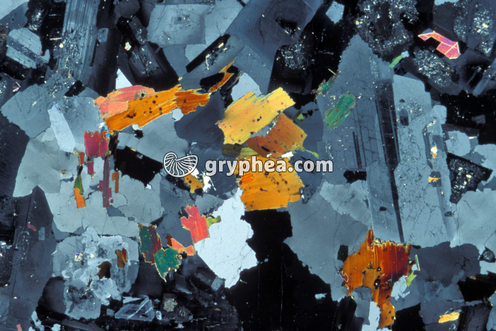 Granite lame2 LPA x3 - gryphea.com